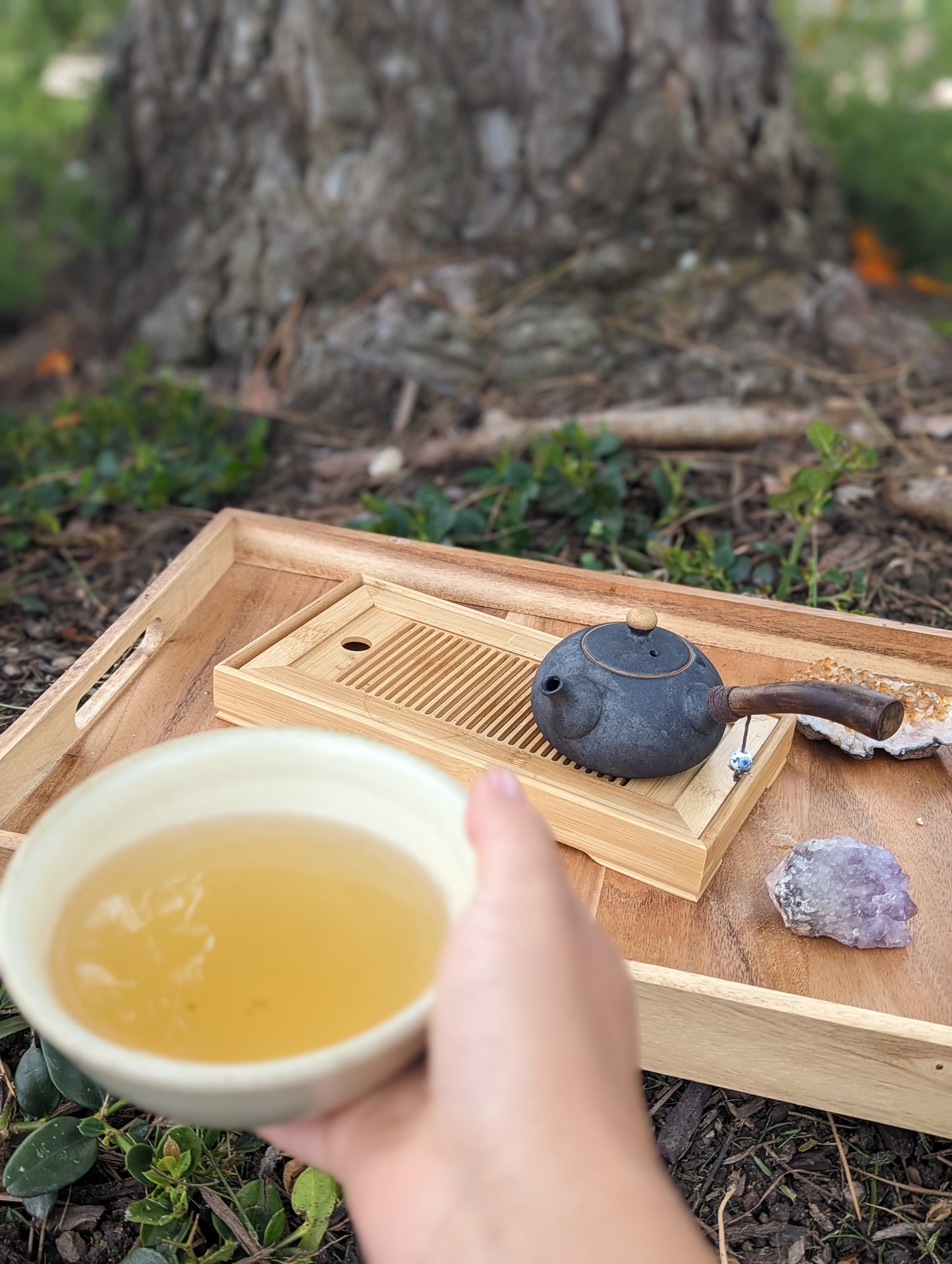 Herbal Oracle Reading 20mins