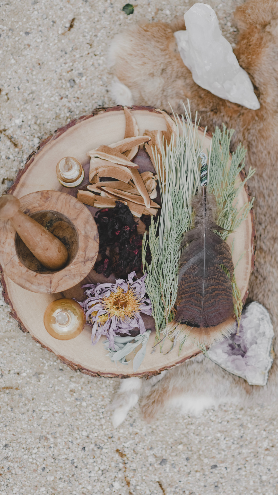 Herbal Oracle Reading 20mins