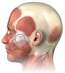 60 min Therapeutic Massage TMJ treatment & Jaw Pain