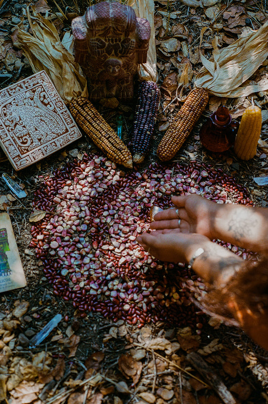 Menstrual Doula Support & Consultation